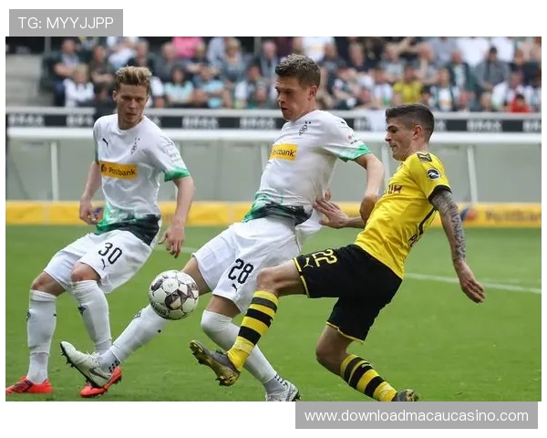 水晶宫队官网比赛直播与录像回放一站式获取精彩赛事内容