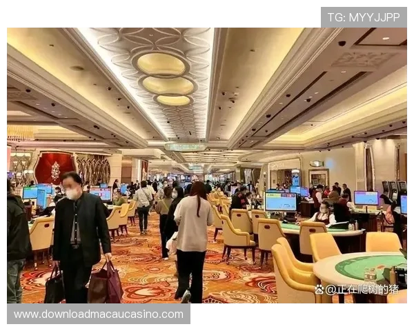 澳门一共有几个赌厅，揭秘澳门各大赌厅的规模和服务特色