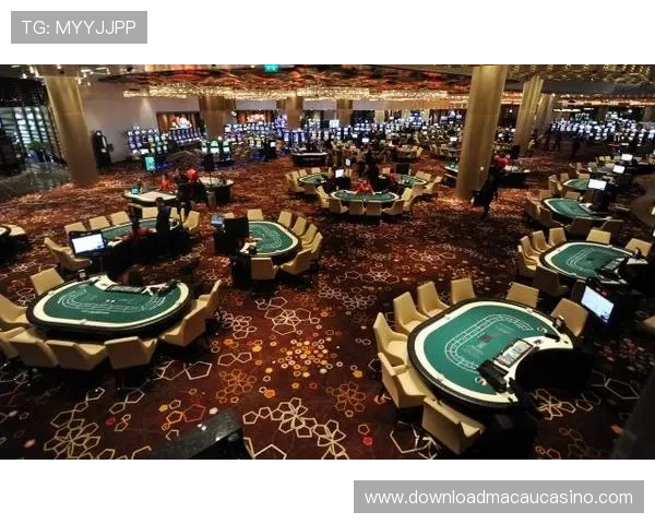 澳门赌场牌照审批中常见的问题与解决方案，帮助申请者提高成功率