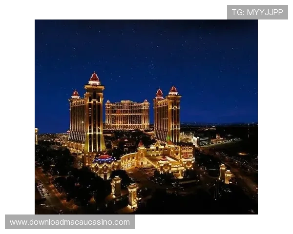 澳门银河滚球盘赔率分析与策略推荐帮助玩家实现稳健盈利的方法