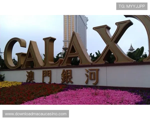 澳门银河网站VIP会员制度详解及专属权益介绍