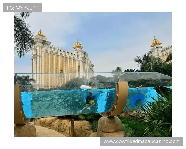 澳门银河赌场入住常见问题解答,解决玩家在入场过程中遇到的疑问 澳门银河赌场入住常见问题解答,解决玩家在入场过程中遇到的疑问