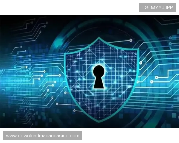 澳门银河app网址常见问题解答及安全登录保障措施全面解析