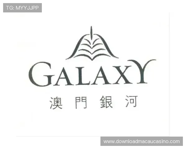 澳门银河娱乐集团有限公司在澳门地区的投资布局及其对当地经济的带动作用