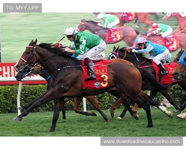 hkjc官方网站：了解香港赛马会全年赛马赛事最新资讯与直播服务