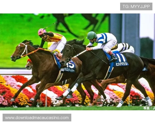 极速下载安装赛马会手机版,享受高清赛事直播和专业赛马分析服务 极速下载安装赛马会手机版,享受高清赛事直播和专业赛马分析服务