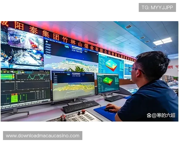 大阳城集团推动数字化转型的实践经验与未来发展方向