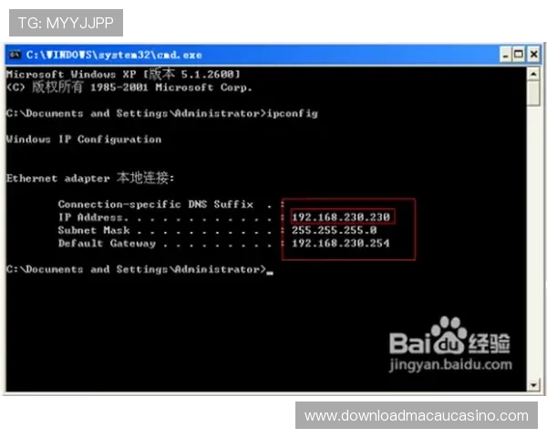 如何通过官方OG视讯登录入口安全登录账号，享受高品质的视讯娱乐体验