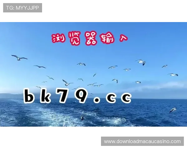 成为成功的ag百家乐代理商需要掌握的核心技巧与实用操作指南