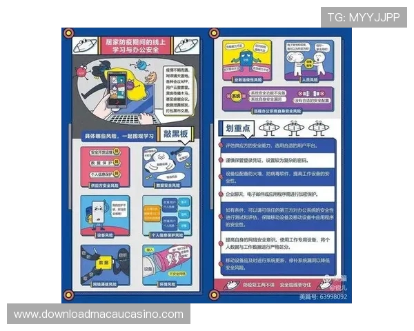 快速解决金冠网站登录线路不稳定的问题，提升用户访问的连续性和安全性