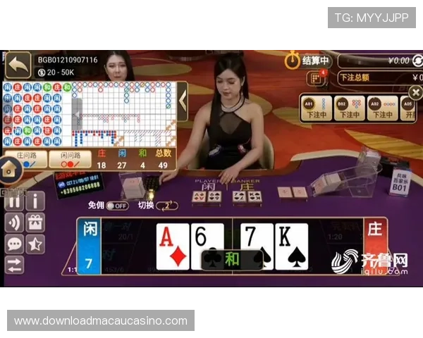 新手必看真人百家樂玩法指南，快速上手实战经验分享