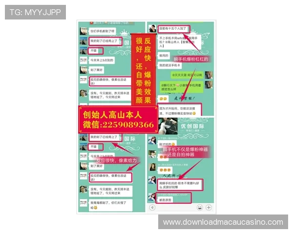 澳门新濠天地手机网址安全登录攻略保障个人信息安全的实用操作指南 澳门新濠天地手机网址安全登录攻略保障个人信息安全的实用操作指南